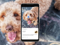 Detect Flower and animal 