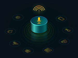 Alexa Voice Search 