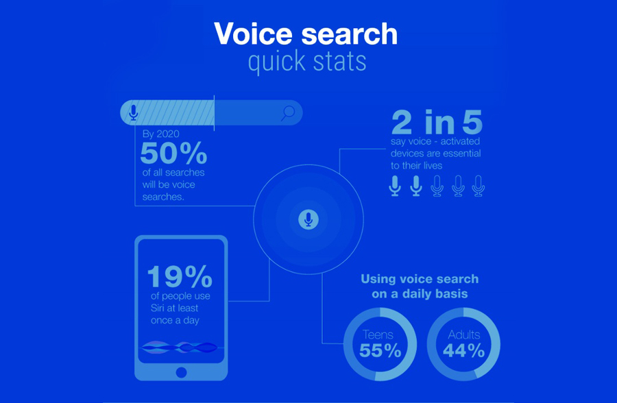 voice search stats