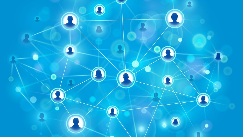Bushiness Networking Through Groups