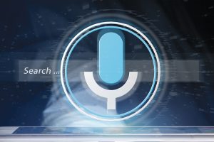 Voice Search