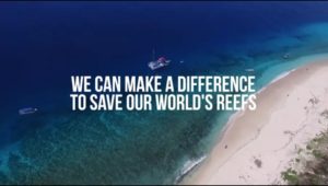 Save CORAL Reefs | Save Ecosystem